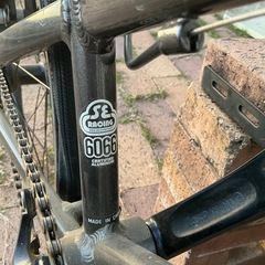 SE Racing MINI RIPPER BMXレーサー 20インチ キッズ用 の画像