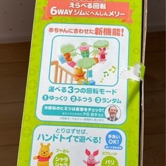 プーメリーの画像