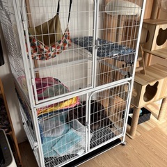 猫ゲージの画像