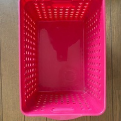 プラケースの画像