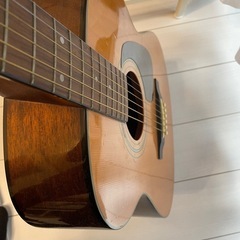 アコースティックギター　 　の画像