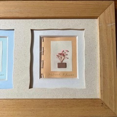 フレーム付きアート 3つのドライフラワーの画像