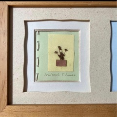 フレーム付きアート 3つのドライフラワーの画像