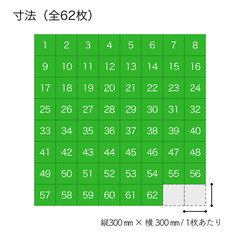 ミヅシマ工業 ジョイント人工芝生 ホームタイプ 62枚の画像