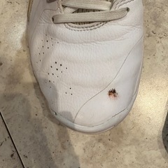 ［お譲り先決定］バスケットシューズ　アシックス　26cmの画像