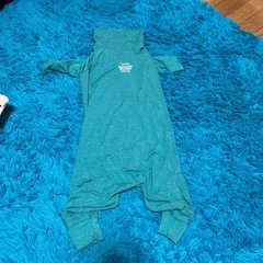 大型犬　犬用　服　マンダリンブラザーズ　　の画像