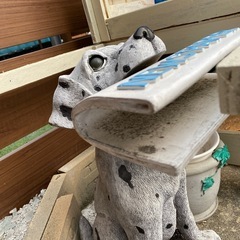 犬プランタンの画像