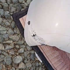 いすゞ　エルフ　超低PM フロントバンパー ワイドの画像