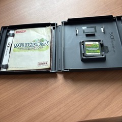 DSソフト サバイバルキッズ LOST in BLUE 2の画像