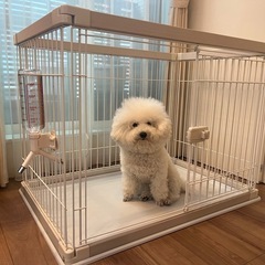 【美品】アイリスオーヤマ ウッディサークル PWSR-960V (小型犬用) ハイタイプ- 給水ボトル付きの画像