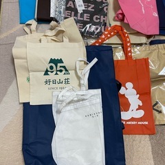 ［たくさん］不織布　エコバッグ　クーラーバッグの画像