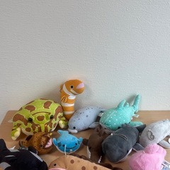 海の仲間たちの画像