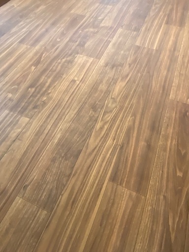 工場 美品！ラグリエ ペットマット 184x400