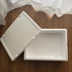 あげます　色々な発泡スチロールの画像