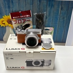 ショット数611回 LUMIX GF9 SNS Wi-Fi チルト ミラーレスの画像