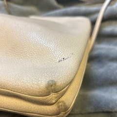 coachバッグの画像