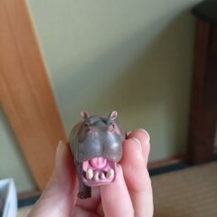 廃盤？　カバ　かば　アニア　動物の画像