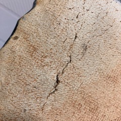 瀬戸焼き陶芸作家　飾り皿の画像