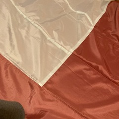 【美品】洗える着物　ピンク　サーモンピンク　色無地　お正月　初詣　オシャレの画像