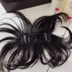 部分ウィッグ(人毛使用)の画像