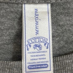 広島カープ Tシャツの画像