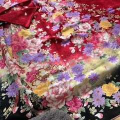 成人式着物一式の画像