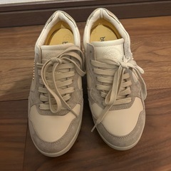 bussola スニーカー　38の画像