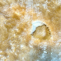 TOPVALU掛けふとんの画像