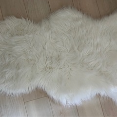 全身鏡 ラグセットの画像