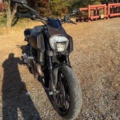 2014年式ドゥカティディアベル(限定車チタニウム仕様)の画像