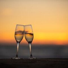 高知市で夜のリラックス交流会🌙 大人同士の穏やかな時間