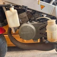 NSR50 Nチビの画像