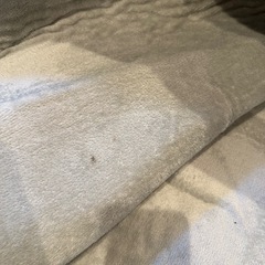 185✖️185  カーペット　グレー
の画像