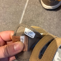 14.5センチの画像