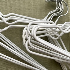 滑らないベビーハンガー20本の画像