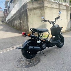 ホンダ　ズーマー の画像