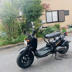 ホンダ　ズーマー の画像