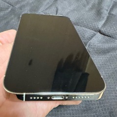 Apple iPhone13Pro MAX 512GBの画像