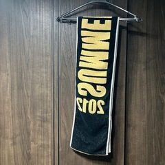 2012 サマソニ マフラータオル ※ポケット付の画像