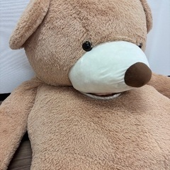 コストコくまちゃん　テディベアの画像