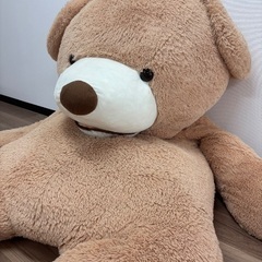 コストコくまちゃん　テディベアの画像