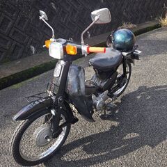 カブ　角目の画像