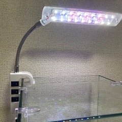 水槽、フィルター、ライト他の画像