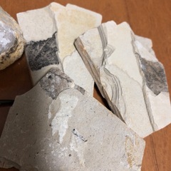 発掘キット 宝石　鉱物　
化石　水晶ジオード　知育玩具の画像