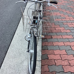 🚴 ペンタス27インチの画像