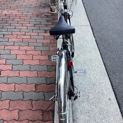 🚴 ペンタス27インチの画像