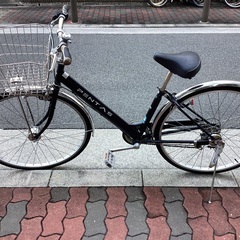 🚴 ペンタス27インチの画像