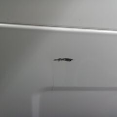 ★リユースのサカイ水戸店★ シャープ 全自動洗濯乾燥機 8/4.5㎏ 24年製 動作確認／クリーニング済み MT6696の画像