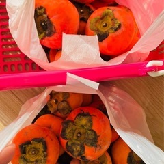 （決まりました）①柿の画像