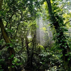 年末年始の為の草刈り手伝います！